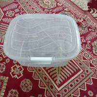 جانونی سایز بزرگ