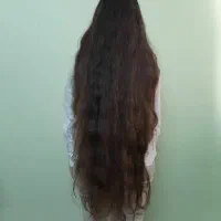 خریدار موهای بلند بانوان هستیم(۵۵سانت)به بالا