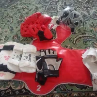 فقط ساق پا نیست