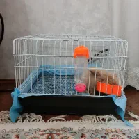 خرگوش|موش و خرگوش|مشهد, خرمشهر|دیوار