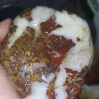 سنگ شجر پاییزی