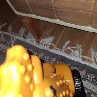 سه چرخه خروس ویدال زن