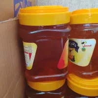 عسل ارگانیک و درمانی ۵۰۰ گرمی و یک کیلویی|خوردنی و آشامیدنی|بندر انزلی, جهانگانی|دیوار
