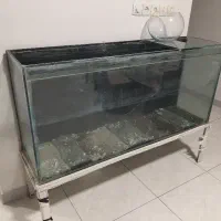آکواریوم