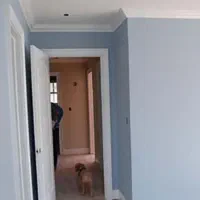 نقاش ساختمانی