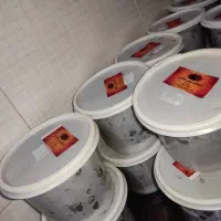 خرما برحی|عمده‌فروشی|آسارا, |دیوار