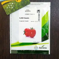 بذر اورجینال صیفی‌جات