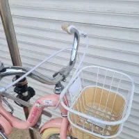 دوچرخه20گودبیبی GoodBabyدخترانه ترمز لنت|دوچرخه، اسکیت، اسکوتر|تهران, بهارستان|دیوار