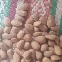 دستگاه صنعتی پوست گیری بادام و گردو در اقلید