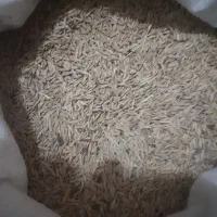 جو درسروستان