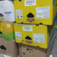 کارتن موز