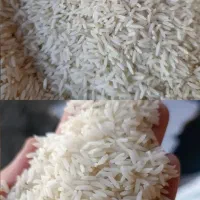 برنج طارم هاشمی درجه یک