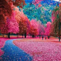 مرر.دن یا زندگی کرر.دن ، مشاوره