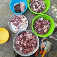 گوسفندصحرا بوده قیمت پایین تر از همه جا بره‌کوهی|حیوانات مزرعه|قم, خاکفرج|دیوار