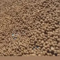 گردو درجه یک چنارون|عمده‌فروشی|چناران, |دیوار