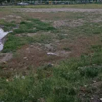 فروش-85-متر-زمین-در-خواجه-ربیع-مهر-مادر-15