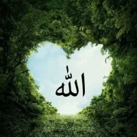 پیدا شده