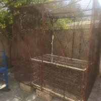 قفس گنجه 2در2|پرنده|شیراز, گلشن|دیوار