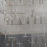 حراج لوازم مغازه|حراج|قم, چهل درخت|دیوار