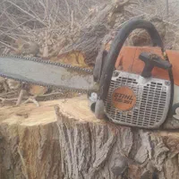 خریدار هر نوع چوب