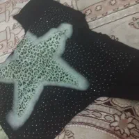 تیشرت و شلوار