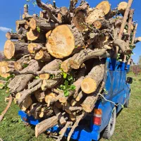 خرید انواع چوب و خدمات اره موتوری