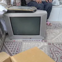 تلوزیون