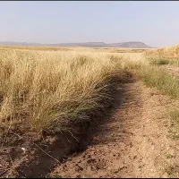 3 هزار متر زمین کشاورزی خاک مناسب باغ