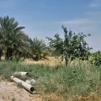 ۵ هکتار زمین حفار شرقی فرصت طلایی...عکس تزینی|فروش زمین و ملک کلنگی|آبادان, |دیوار