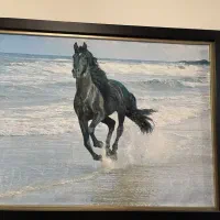 تابلو فرش اسب سیاه دونده درساحل بدون قاب یک در ۷۰