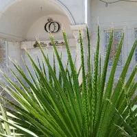 تالار جشن و تشریفات مجالس عمارت طلایی|خدمات پذیرایی، مراسم|قهدریجان, |دیوار