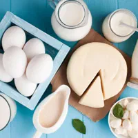 آموزش تولید لبنیات سنتی با مدرک معتبر