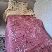 سرویس خواب کودک و نوجوان|تخت و سرویس خواب|ملارد, |دیوار