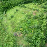 فروش فوری 228 متر زمین باغی