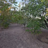 باغ 2000 متری