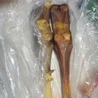 لوازم پت|لوازم جانبی حیوانات|بندرعباس, |دیوار