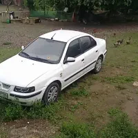 سمندسفیدسالم بدون کوچکترین هزینه