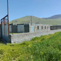 دامداری صنعتی 800راس|فروش دفتر صنعتی، کشاورزی، تجاری|دینور, |دیوار