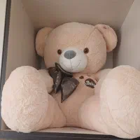 خرس ولنتاین