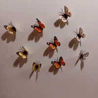 پروانه تزیینی آهن ربایی قابل شستشو با ارسال