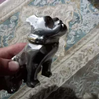 سگ ماک اصلی