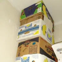 حراج کارتن موز نو ابعاد بزرگ جا دار