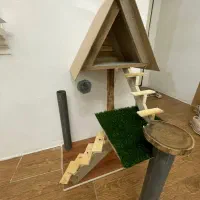 خونه گربه