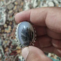 انگشتر شجر