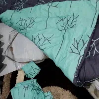 روتختی|سرویس روتختی|رشت, رشتیان|دیوار