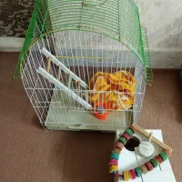 دو عدد قفس پرنده تمیز