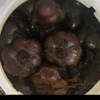 سیر ترشی ده ساله همدان با سرکه ی طبیعی