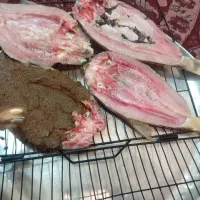 اجاره سویت واقامتگاه تفریحی