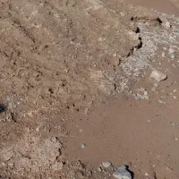 فروش زمین ۴۰۰ متری روستا الله اباد