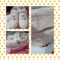 کفش تدی جدیدوشیک